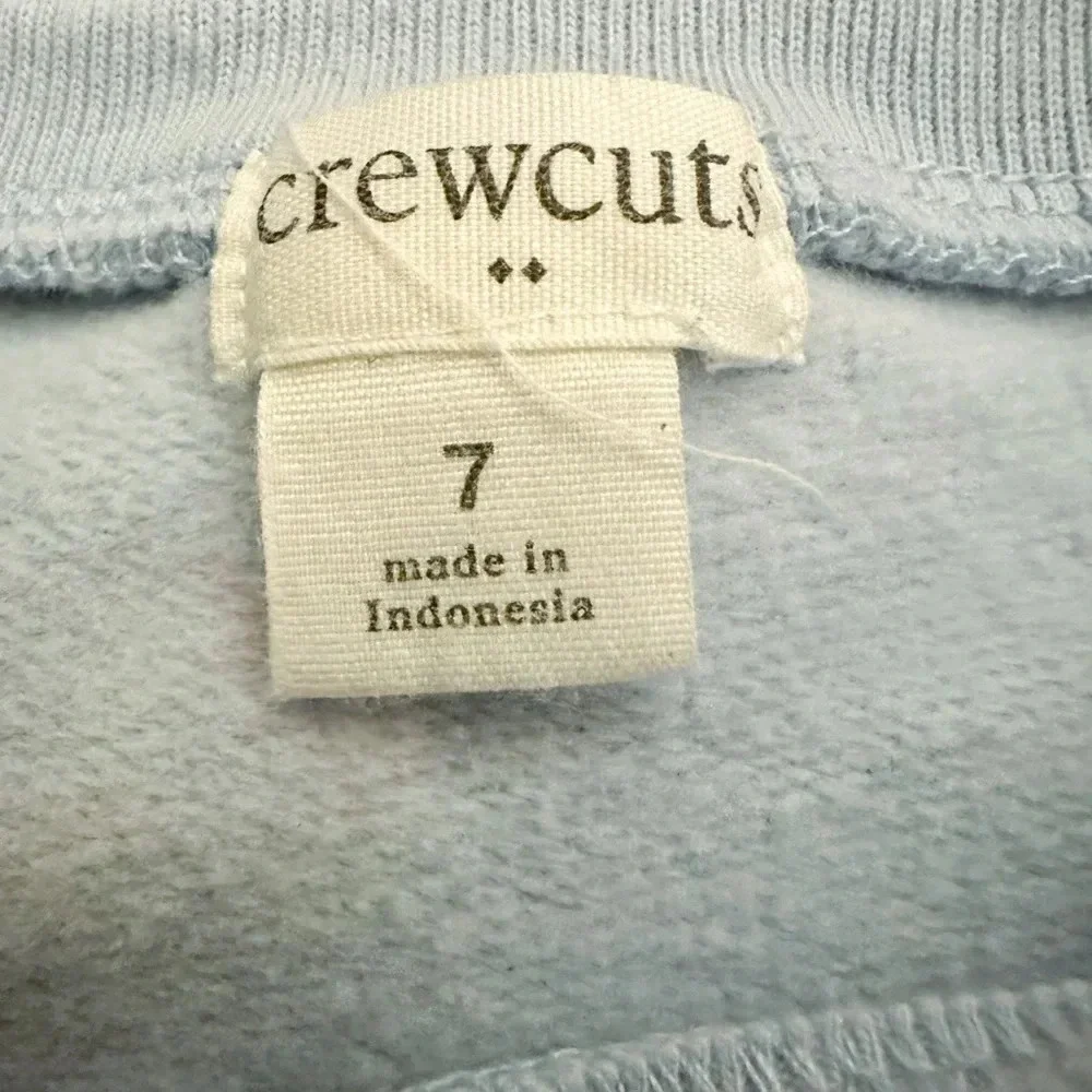 Crewcuts | Ruffle Sleeve A-Line Dress (7) 🦄